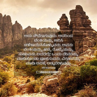 Picture 05 - ಯೆಶಾಯನು 44:15 KANIRV - ಅದು ಸೌದೆಗಾಗುವುದು. - Bible Verse Picture