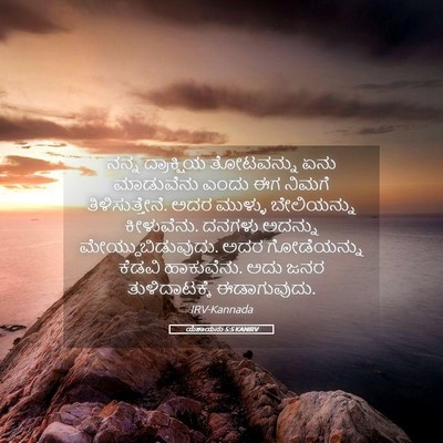 Picture 05 - ಯೆಶಾಯನು 5:5 KANIRV - ನನ್ನ ದ್ರಾಕ್ಷಿಯ - Bible Verse Picture