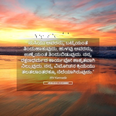 Picture 05 - ಯೆಶಾಯನು 51:8 KANIRV - ನುಸಿಯು ಅವರನ್ನು - Bible Verse Picture