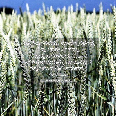 Picture 05 - ಯೆಶಾಯನು 54:12 KANIRV - ನಿನ್ನ ಶಿಖರಗಳನ್ನು - Bible Verse Picture