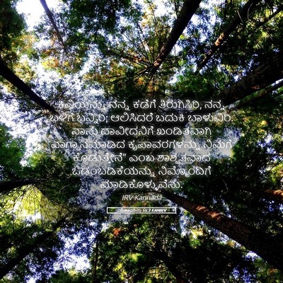 Picture 05 - ಯೆಶಾಯನು 55:3 KANIRV - ಕಿವಿಯನ್ನು ನನ್ನ - Bible Verse Picture