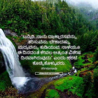 Picture 05 - ಯೆಶಾಯನು 56:12 KANIRV - “ಬನ್ನಿರಿ, ನಾನು - Bible Verse Picture