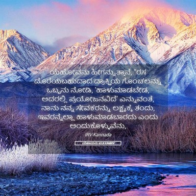 Picture 05 - ಯೆಶಾಯನು 65:8 KANIRV - ಯೆಹೋವನು - Bible Verse Picture