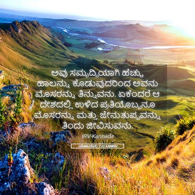 Picture 05 - ಯೆಶಾಯನು 7:22 KANIRV - ಅವು ಸಮೃದ್ಧಿಯಾಗಿ - Bible Verse Picture