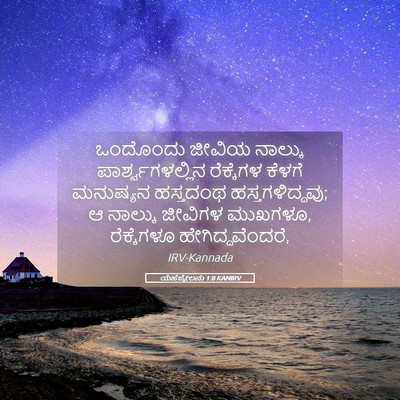 Picture 05 - ಯೆಹೆಜ್ಕೇಲನು 1:8 KANIRV - ಒಂದೊಂದು ಜೀವಿಯ - Bible Verse Picture