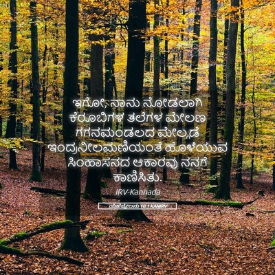 Picture 05 - ಯೆಹೆಜ್ಕೇಲನು 10:1 KANIRV - ಇಗೋ, ನಾನು ನೋಡಲಾಗಿ - Bible Verse Picture