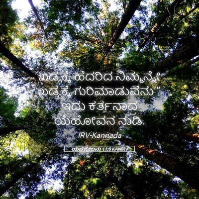 Picture 05 - ಯೆಹೆಜ್ಕೇಲನು 11:8 KANIRV - ಖಡ್ಗಕ್ಕೆ ಹೆದರಿದ - Bible Verse Picture