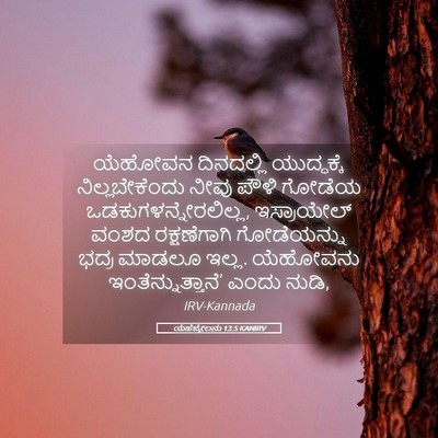 Picture 05 - ಯೆಹೆಜ್ಕೇಲನು 13:5 KANIRV - ಯೆಹೋವನ ದಿನದಲ್ಲಿ - Bible Verse Picture