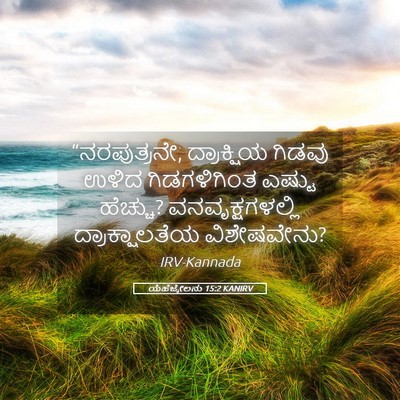 Picture 05 - ಯೆಹೆಜ್ಕೇಲನು 15:2 KANIRV - “ನರಪುತ್ರನೇ, - Bible Verse Picture