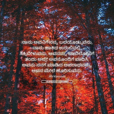 Picture 05 - ಯೆಹೆಜ್ಕೇಲನು 17:20 KANIRV - ನಾನು ಅವನಿಗೆ ನನ್ನ - Bible Verse Picture