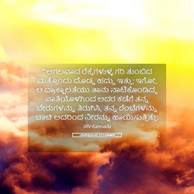 Picture 05 - ಯೆಹೆಜ್ಕೇಲನು 17:7 KANIRV - “‘ಅಗಲವಾದ - Bible Verse Picture