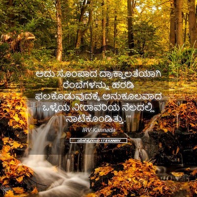 Picture 05 - ಯೆಹೆಜ್ಕೇಲನು 17:8 KANIRV - ಅದು ಸೊಂಪಾದ - Bible Verse Picture