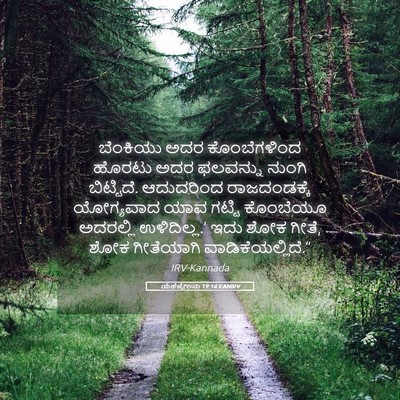 Picture 05 - ಯೆಹೆಜ್ಕೇಲನು 19:14 KANIRV - ಬೆಂಕಿಯು ಅದರ - Bible Verse Picture