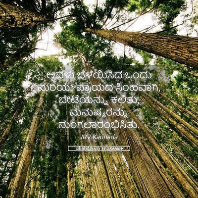 Picture 05 - ಯೆಹೆಜ್ಕೇಲನು 19:3 KANIRV - ಅವಳು ಬೆಳೆಯಿಸಿದ - Bible Verse Picture