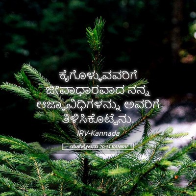 Picture 05 - ಯೆಹೆಜ್ಕೇಲನು 20:11 KANIRV - ಕೈಗೊಳ್ಳುವವರಿಗೆ - Bible Verse Picture