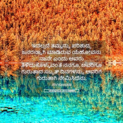 Picture 05 - ಯೆಹೆಜ್ಕೇಲನು 20:12 KANIRV - ಇದಲ್ಲದೆ ತಮ್ಮನ್ನು - Bible Verse Picture