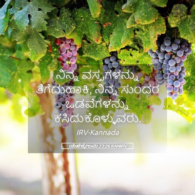 Picture 05 - ಯೆಹೆಜ್ಕೇಲನು 23:26 KANIRV - ನಿನ್ನ - Bible Verse Picture