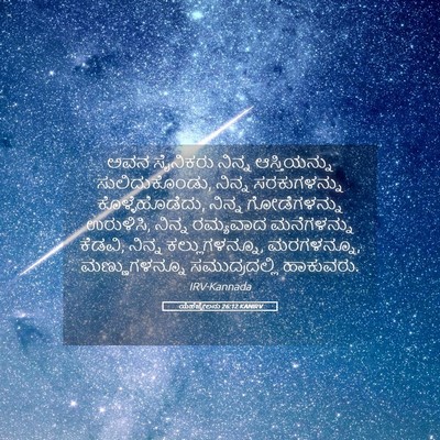 Picture 05 - ಯೆಹೆಜ್ಕೇಲನು 26:12 KANIRV - ಅವನ ಸೈನಿಕರು ನಿನ್ನ - Bible Verse Picture
