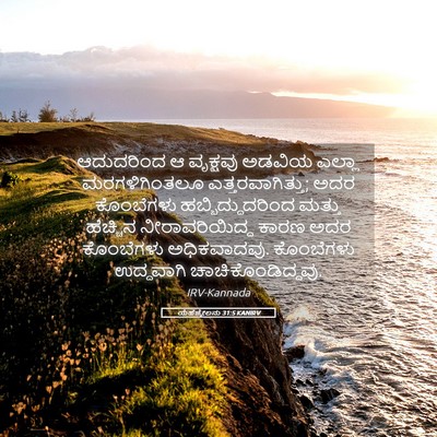Picture 05 - ಯೆಹೆಜ್ಕೇಲನು 31:5 KANIRV - ಆದುದರಿಂದ ಆ - Bible Verse Picture