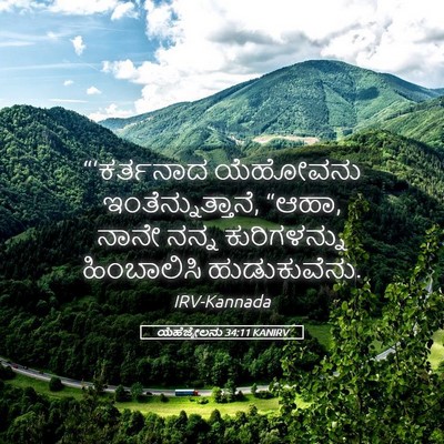 Picture 05 - ಯೆಹೆಜ್ಕೇಲನು 34:11 KANIRV - “‘ಕರ್ತನಾದ ಯೆಹೋವನು - Bible Verse Picture