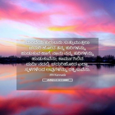 Picture 05 - ಯೆಹೆಜ್ಕೇಲನು 34:12 KANIRV - ಮಂದೆಯ ಕುರುಬನು - Bible Verse Picture