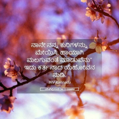 Picture 05 - ಯೆಹೆಜ್ಕೇಲನು 34:15 KANIRV - ನಾನೇ ನನ್ನ - Bible Verse Picture