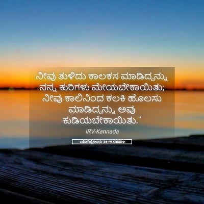 Picture 05 - ಯೆಹೆಜ್ಕೇಲನು 34:19 KANIRV - ನೀವು ತುಳಿದು ಕಾಲಕಸ - Bible Verse Picture