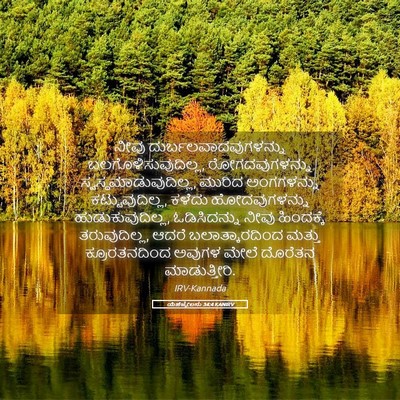 Picture 05 - ಯೆಹೆಜ್ಕೇಲನು 34:4 KANIRV - ನೀವು - Bible Verse Picture
