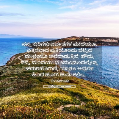 Picture 05 - ಯೆಹೆಜ್ಕೇಲನು 34:6 KANIRV - ನನ್ನ ಕುರಿಗಳು - Bible Verse Picture