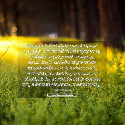Picture 05 - ಯೆಹೆಜ್ಕೇಲನು 34:8 KANIRV - ಕರ್ತನಾದ ಯೆಹೋವನು - Bible Verse Picture