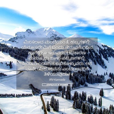 Picture 05 - ಯೆಹೆಜ್ಕೇಲನು 36:38 KANIRV - ಮೀಸಲಾದ ಮಂದೆಯಂತೆ, - Bible Verse Picture