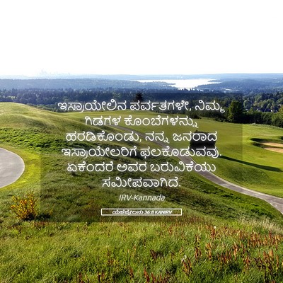 Picture 05 - ಯೆಹೆಜ್ಕೇಲನು 36:8 KANIRV - ಇಸ್ರಾಯೇಲಿನ - Bible Verse Picture