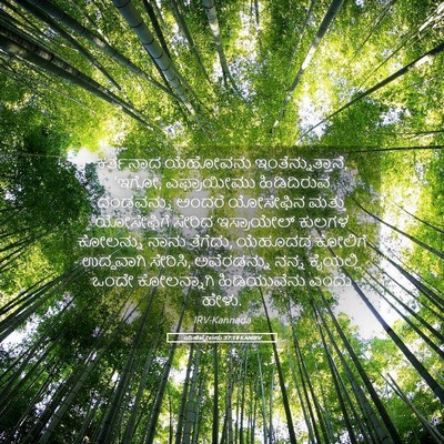 Picture 05 - ಯೆಹೆಜ್ಕೇಲನು 37:19 KANIRV - ಕರ್ತನಾದ ಯೆಹೋವನು - Bible Verse Picture
