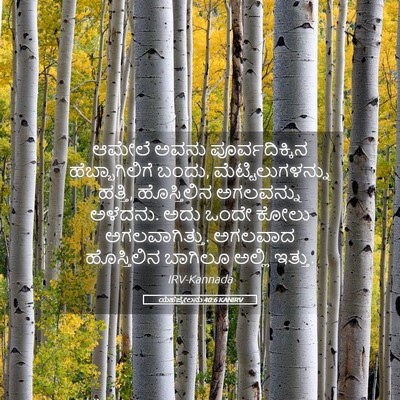Picture 05 - ಯೆಹೆಜ್ಕೇಲನು 40:6 KANIRV - ಆಮೇಲೆ ಅವನು - Bible Verse Picture