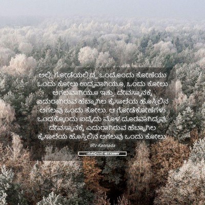 Picture 05 - ಯೆಹೆಜ್ಕೇಲನು 40:7 KANIRV - ಅಲ್ಲಿ - Bible Verse Picture
