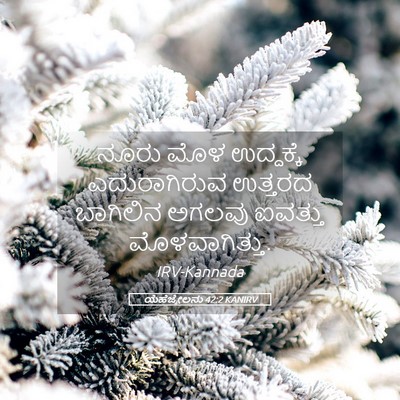 Picture 05 - ಯೆಹೆಜ್ಕೇಲನು 42:2 KANIRV - ನೂರು ಮೊಳ ಉದ್ದಕ್ಕೆ - Bible Verse Picture