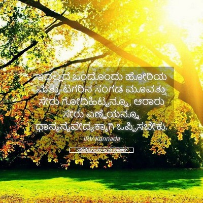 Picture 05 - ಯೆಹೆಜ್ಕೇಲನು 45:24 KANIRV - ಇದಲ್ಲದೆ ಒಂದೊಂದು - Bible Verse Picture