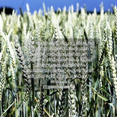 Picture 05 - ಯೆಹೆಜ್ಕೇಲನು 46:19 KANIRV - “ಬಳಿಕ ಆ ಪುರುಷನು - Bible Verse Picture