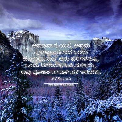 Picture 05 - ಯೆಹೆಜ್ಕೇಲನು 46:6 KANIRV - ಅಮಾವಾಸ್ಯೆಯಲ್ಲಿ - Bible Verse Picture