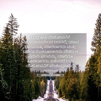 Picture 05 - ಯೆಹೆಜ್ಕೇಲನು 48:14 KANIRV - ಆ ಕ್ಷೇತ್ರವು - Bible Verse Picture