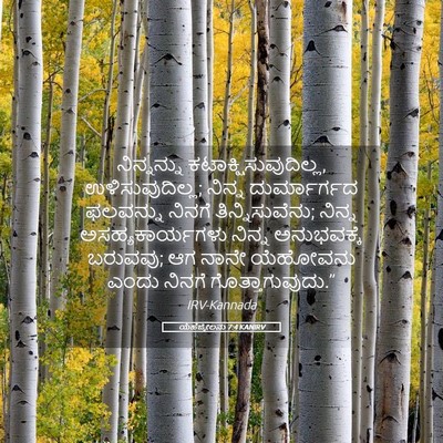 Picture 05 - ಯೆಹೆಜ್ಕೇಲನು 7:4 KANIRV - ನಿನ್ನನ್ನು - Bible Verse Picture