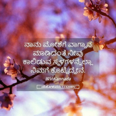 Picture 05 - ಯೆಹೋಶುವನು 1:3 KANIRV - ನಾನು ಮೋಶೆಗೆ - Bible Verse Picture