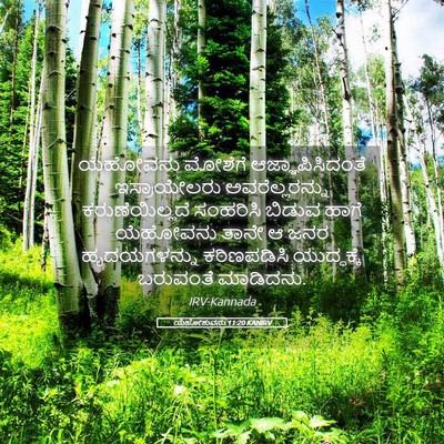 Picture 05 - ಯೆಹೋಶುವನು 11:20 KANIRV - ಯೆಹೋವನು ಮೋಶೆಗೆ - Bible Verse Picture