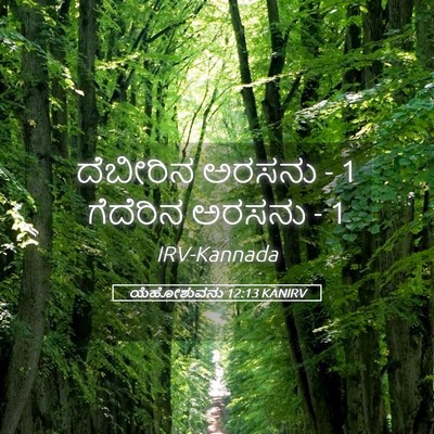 Picture 05 - ಯೆಹೋಶುವನು 12:13 KANIRV - ದೆಬೀರಿನ ಅರಸನು - 1 - Bible Verse Picture