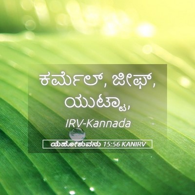 Picture 05 - ಯೆಹೋಶುವನು 15:56 KANIRV - ಕರ್ಮೆಲ್, ಜೀಫ್, - Bible Verse Picture