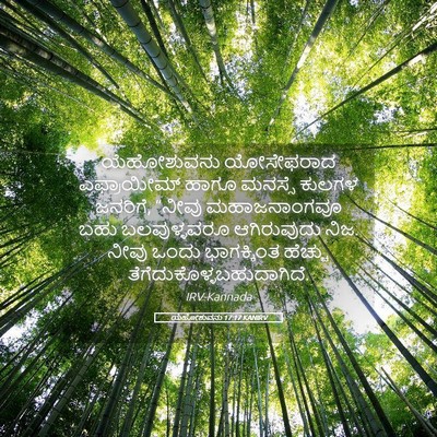 Picture 05 - ಯೆಹೋಶುವನು 17:17 KANIRV - ಯೆಹೋಶುವನು - Bible Verse Picture