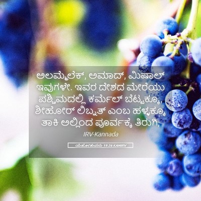 Picture 05 - ಯೆಹೋಶುವನು 19:26 KANIRV - ಅಲಮ್ಮೆಲೆಕ್, ಅಮಾದ್, - Bible Verse Picture