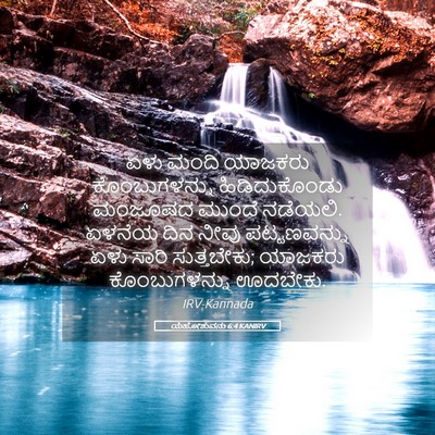 Picture 05 - ಯೆಹೋಶುವನು 6:4 KANIRV - ಏಳು ಮಂದಿ ಯಾಜಕರು - Bible Verse Picture