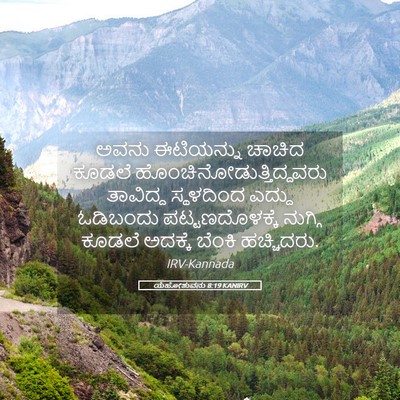 Picture 05 - ಯೆಹೋಶುವನು 8:19 KANIRV - ಅವನು ಈಟಿಯನ್ನು - Bible Verse Picture