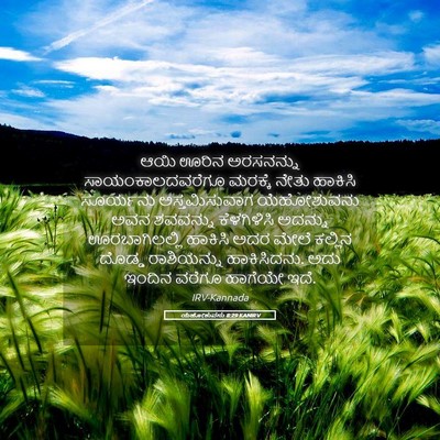 Picture 05 - ಯೆಹೋಶುವನು 8:29 KANIRV - ಆಯಿ ಊರಿನ ಅರಸನನ್ನು - Bible Verse Picture